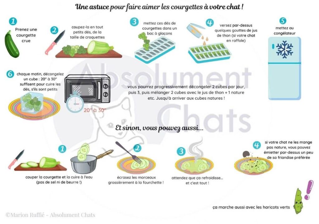 2 astuces pour donner des courgettes à son chat pour qu'il perde du poids