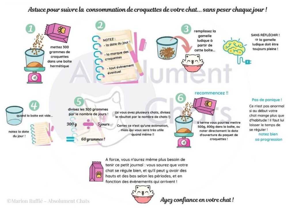 l'astuce de marion ruffié pour contrôler la quantité de croquettes ingérées par son chat, sans le restreindre