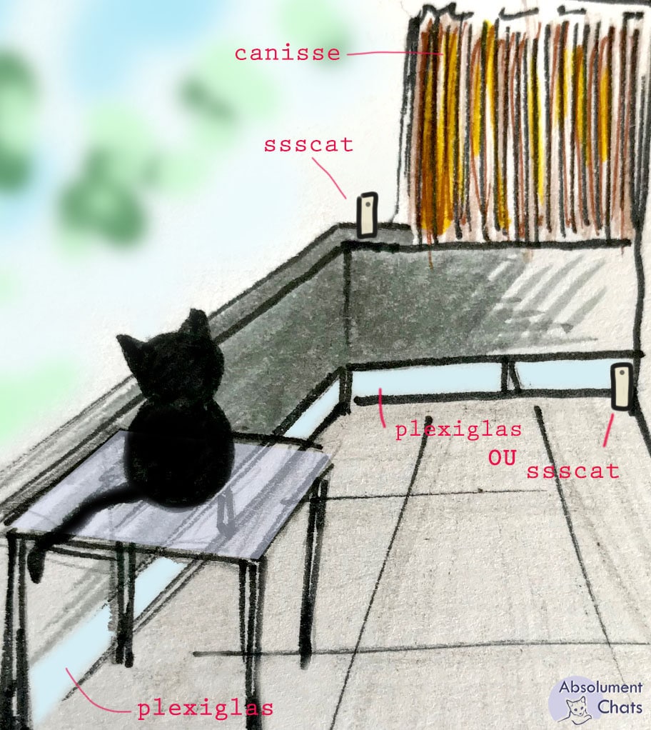 Protéger ses fenêtres et balcon pour que mon chat ne tombe pas - Absolument  Chats