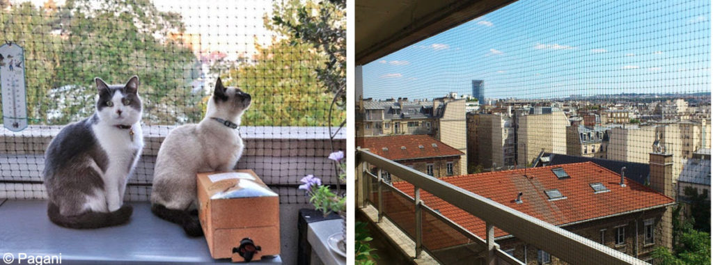 Vous avez peur que votre chat tombe du balcon ? Cet ingénieux filet sur  mesure Protection pour Chats est la solution