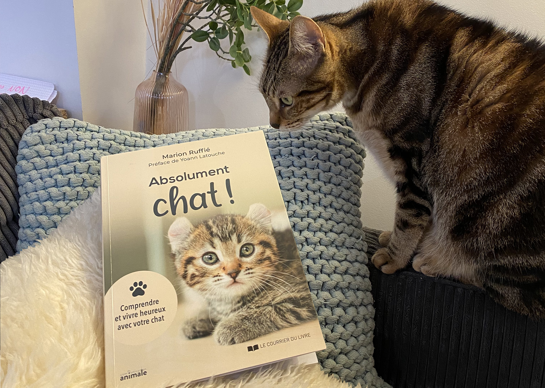 Livres Absolument Chats