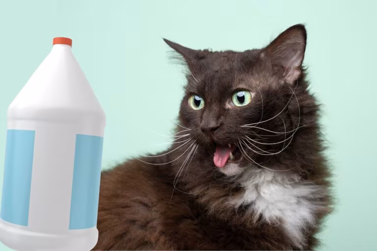 les chats n'aiment pas la javel. Il ne faut pas en mettre dans la litière !