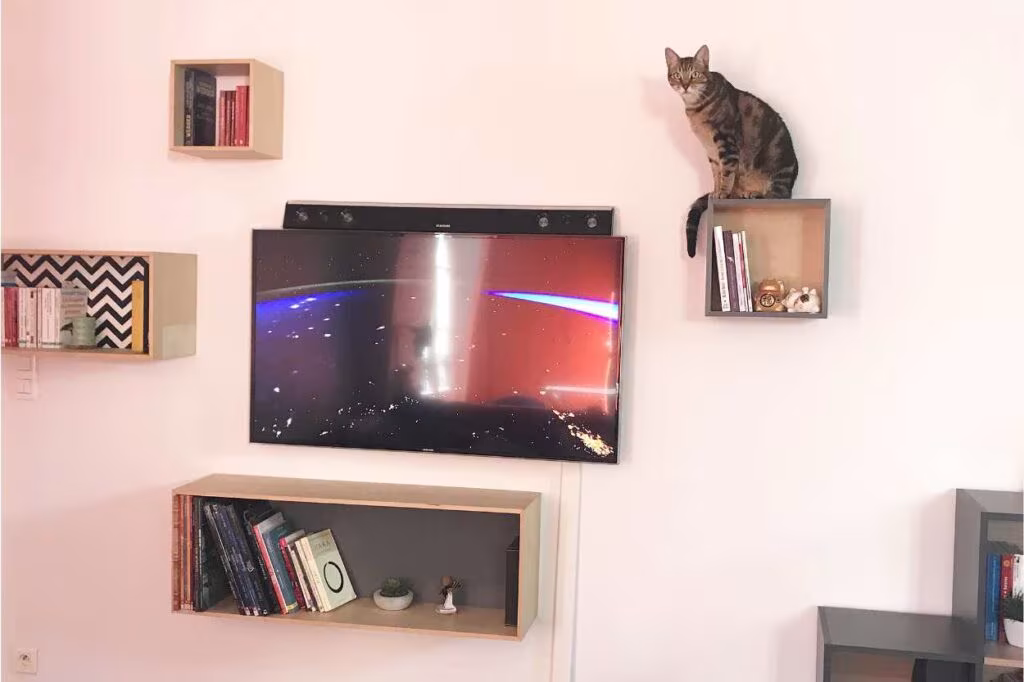 on peut offrir à son chat des spots de grimpette sans acheter d'arbre à chat !