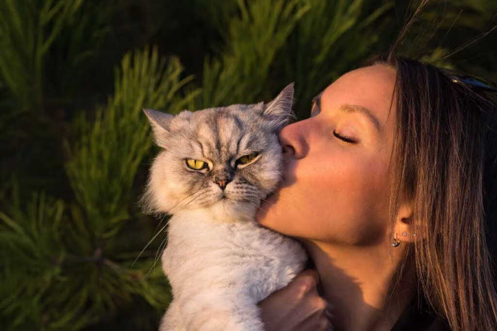 un chat peut être stressé à cause de trop de câlins