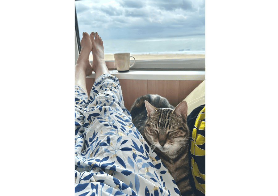 quand on part en vacances avec son chat on a l'esprit plus serein